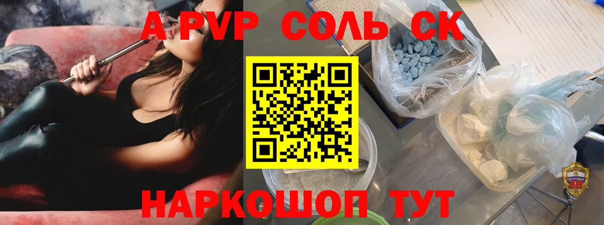 Alfa_PVP СК Сегежа
