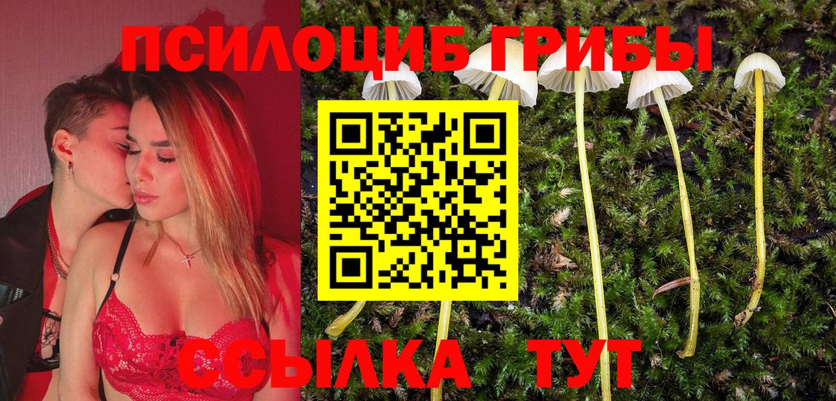 МЕФ Сегежа
