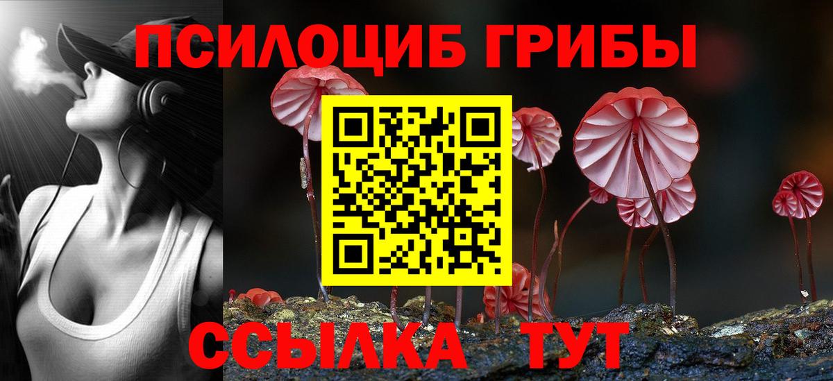 Сегежа  Псилоцибиновые грибы ЛСД  Вход с VPN  Псилоцибиновые грибы Psilocybine cubensis 