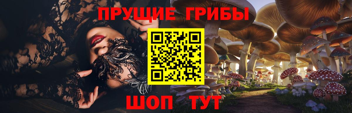 Галлюциногенные грибы GOLDEN TEACHER Сегежа
